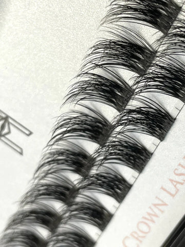 [ Crown Lash ]